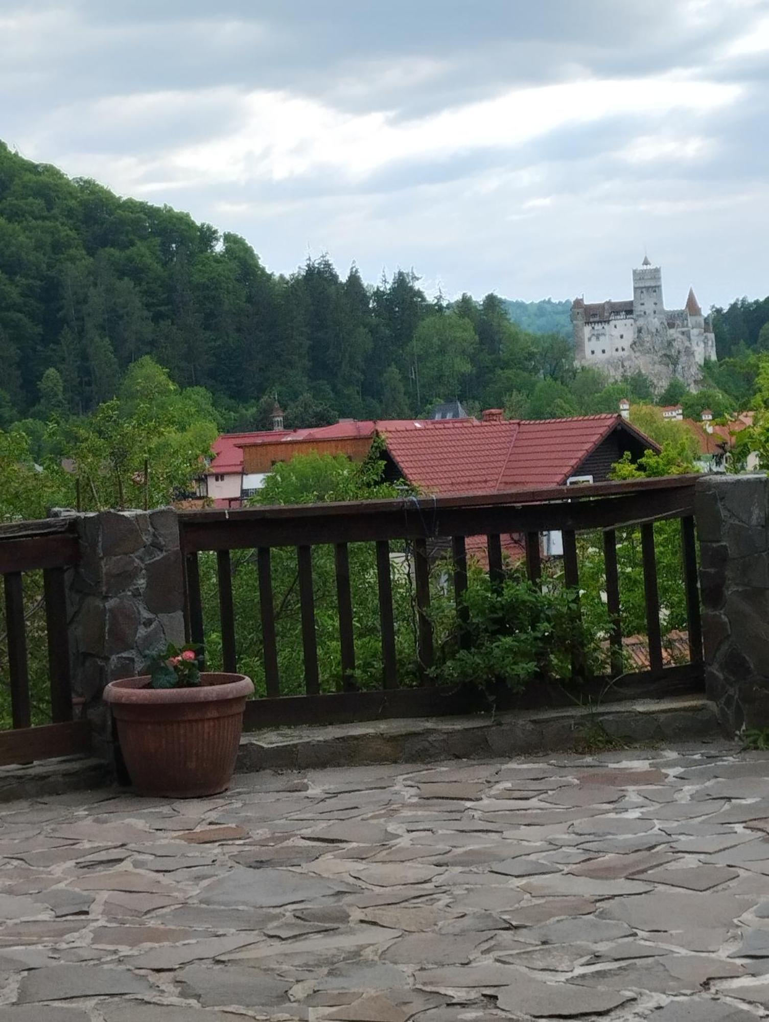 Pensiunea Transilvania Lodge Bran  Exterior photo
